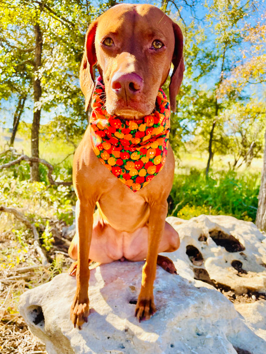 Vintage Mini Pumpkin Print Bandana