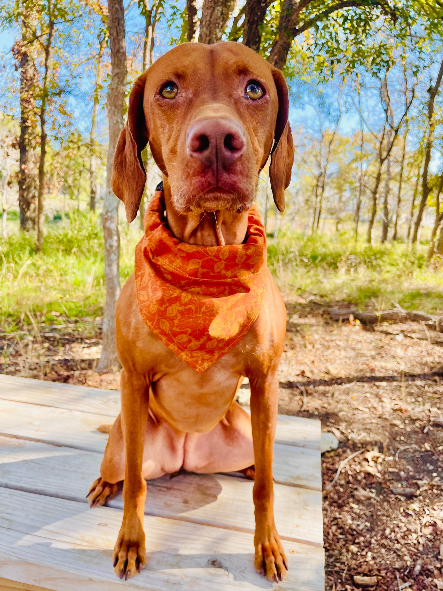 Vintage Metallic Fall Leaf Print Bandana