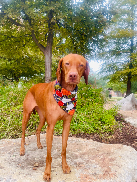 Black Gourd Bandana