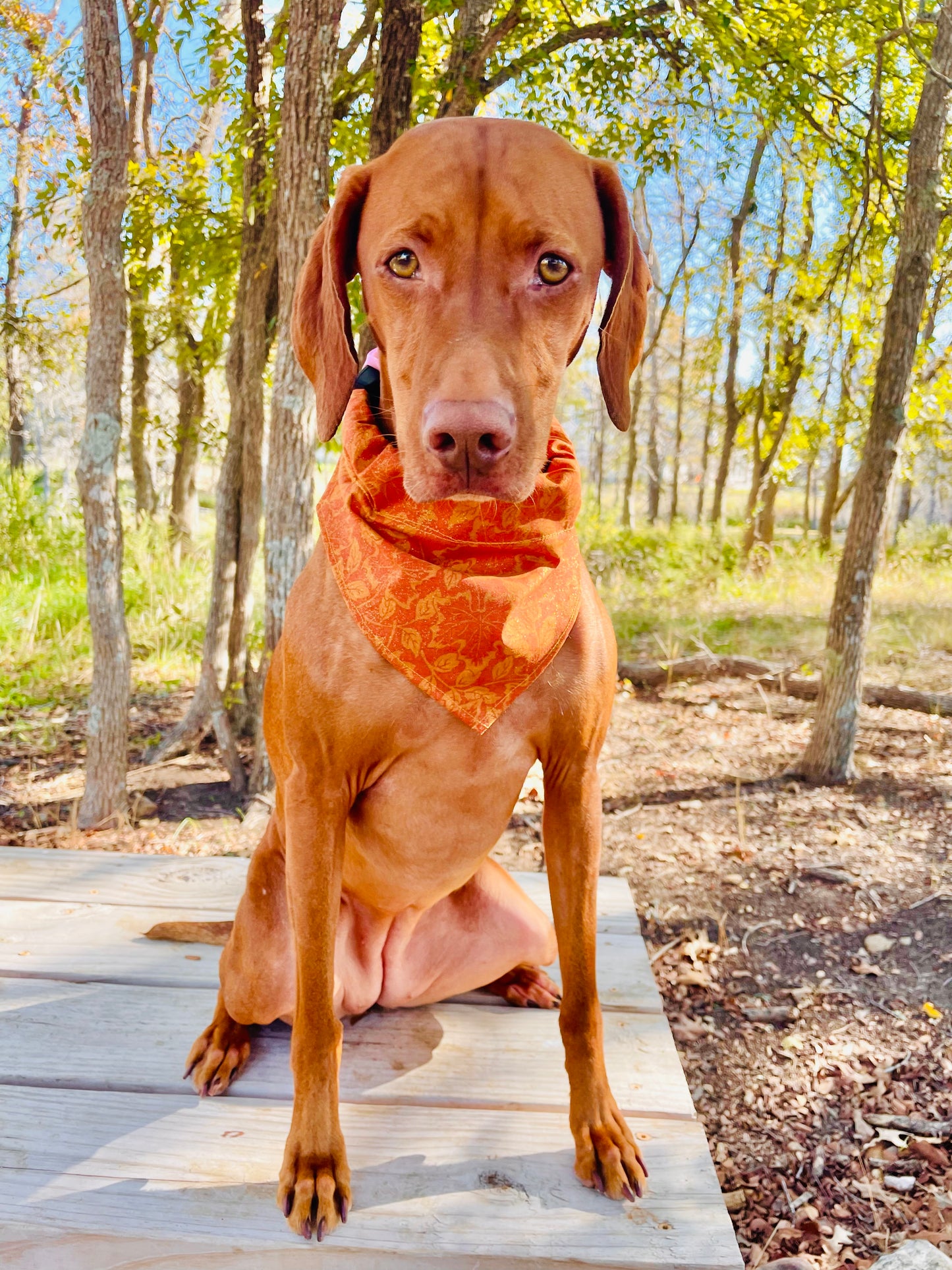 Vintage Metallic Fall Leaf Print Bandana