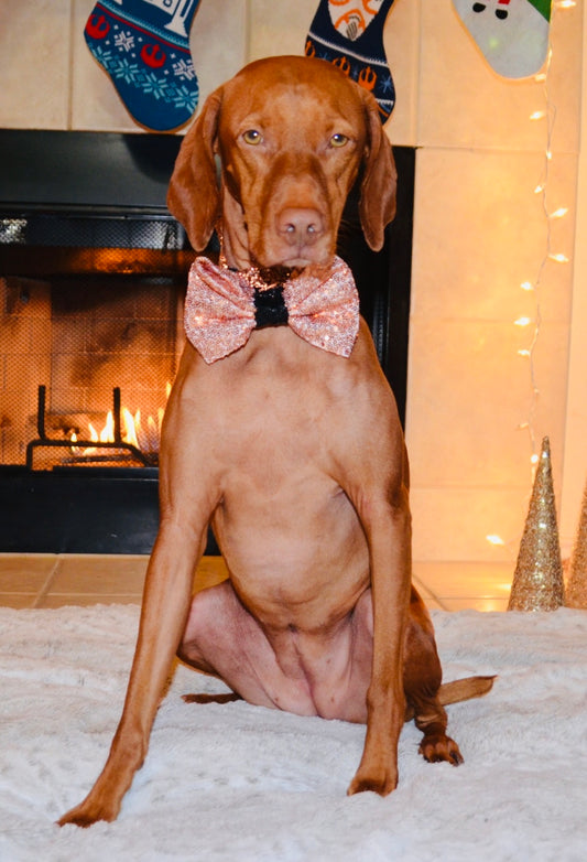 Rose Gold Sequin Bow Tie