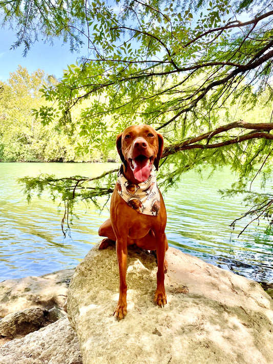 Life’s Better with a Vizsla Bandana