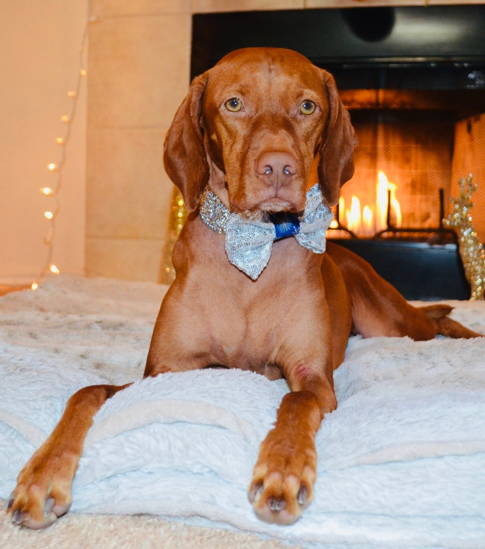 Silver Sequin Bow Tie