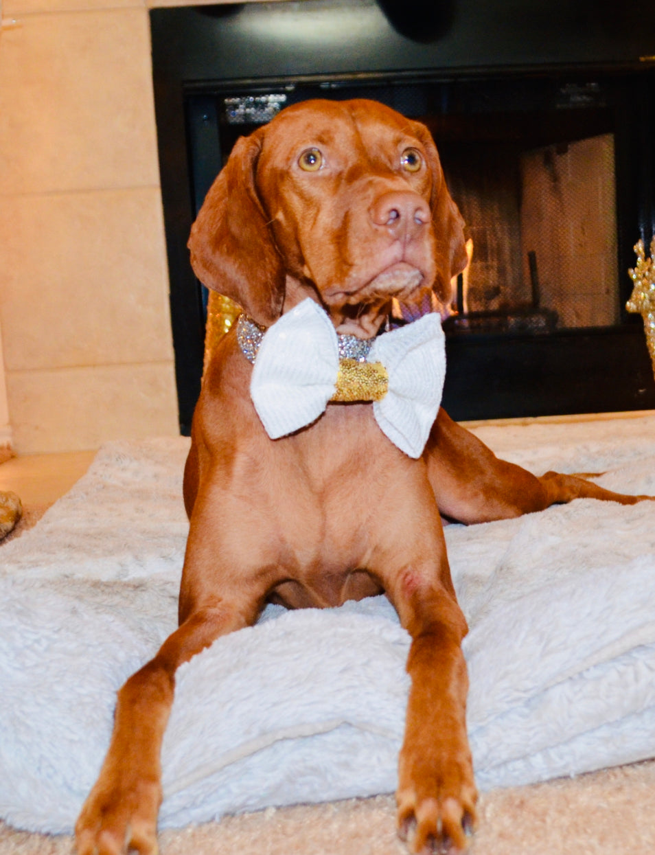 White Gold Sequin Bow Tie