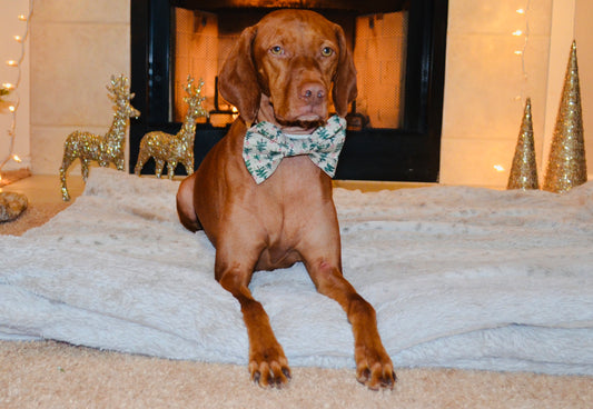 Christmas Tree Print Bow Tie