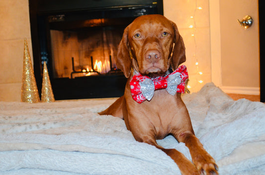 Red Silver Sequin Snowflake Double Bow Tie