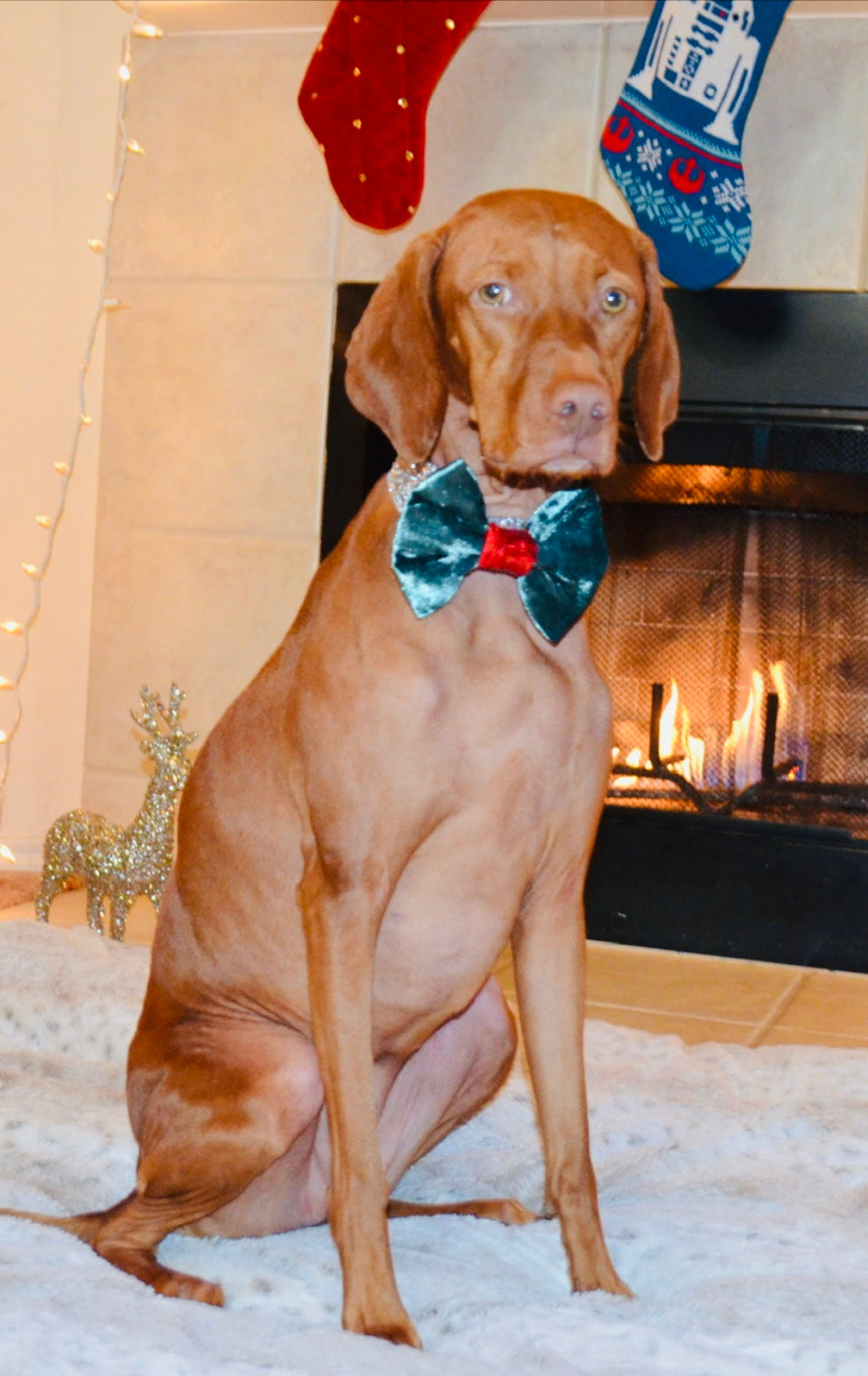 Green Velvet Bow Tie