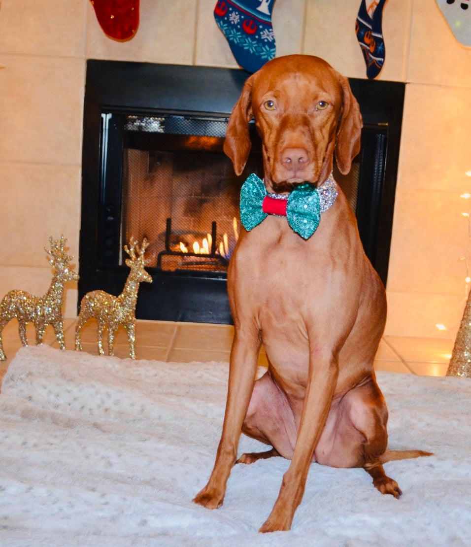 Green Sequin Bow Tie