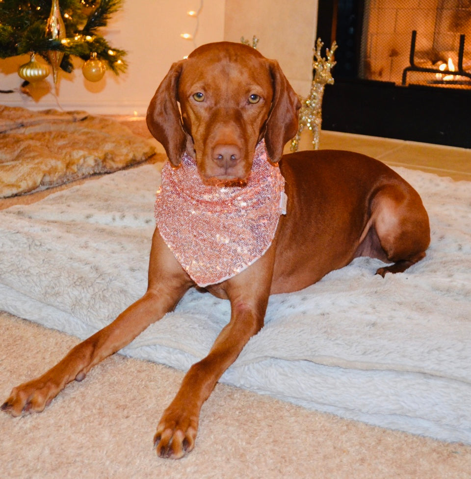 Rose Gold Sequin Bandana