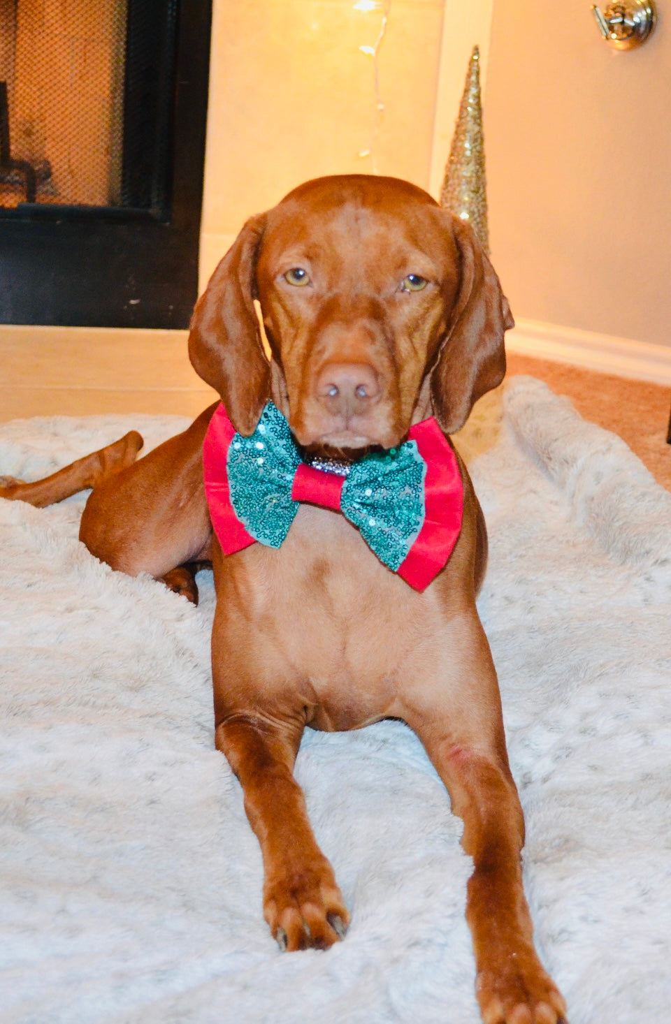 Red Green Sequin Double Bow Tie