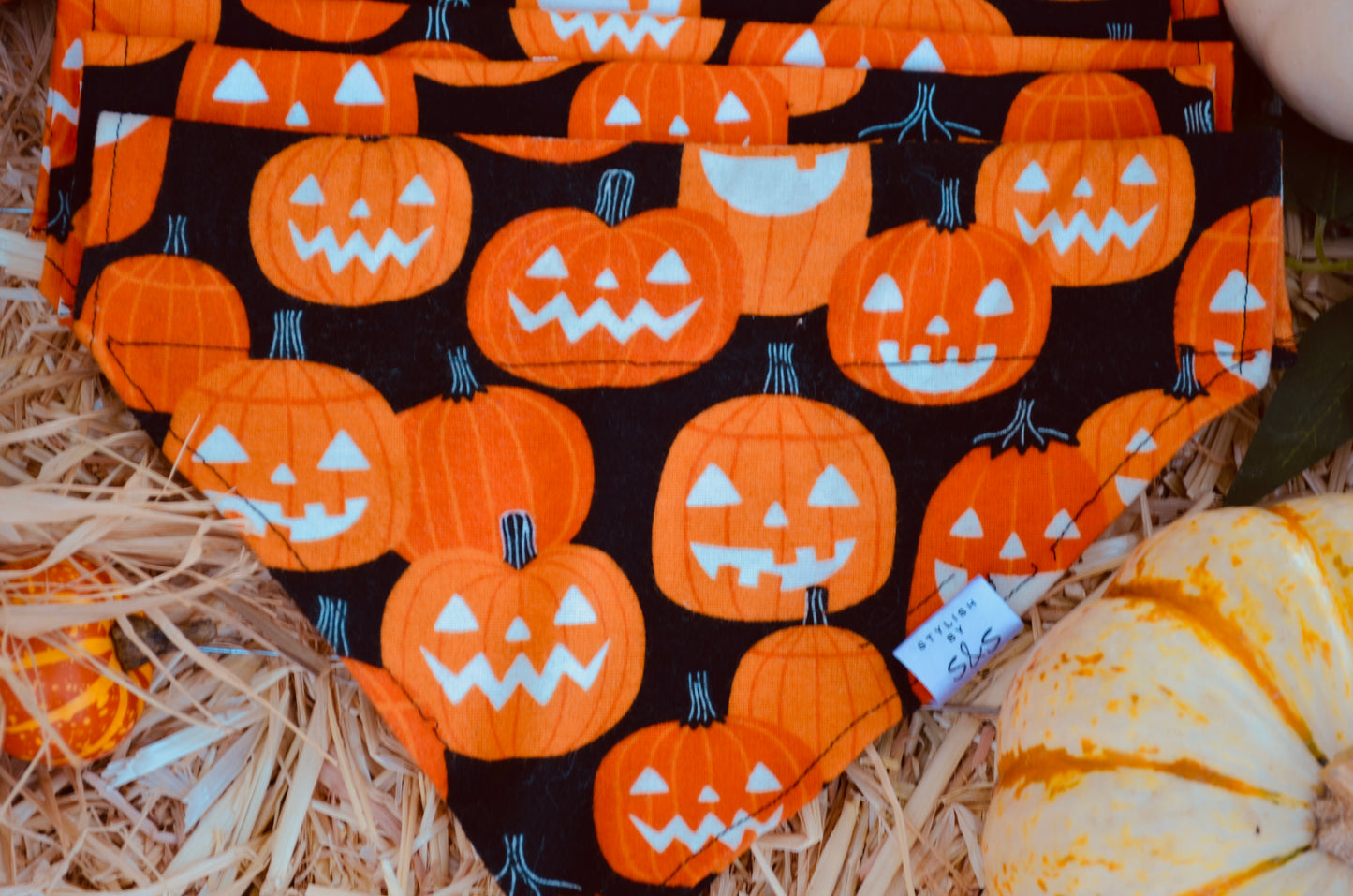 Glow In The Dark Pumpkins