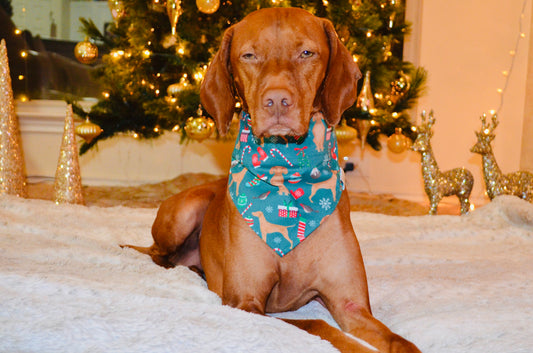 Vizsla Christmas Bandana