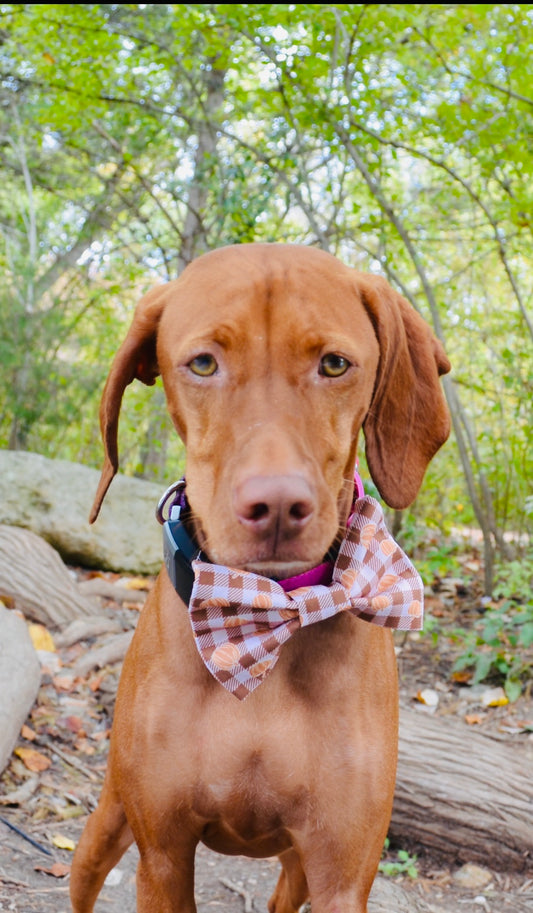 Peach Brown Plaid Pumpkin Bow Tie