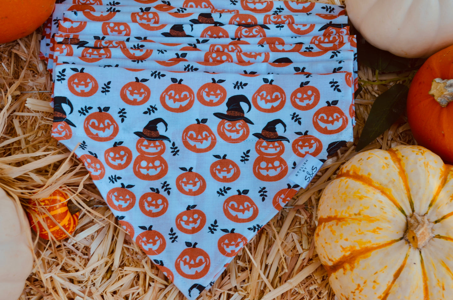 White Pumpkin Bandana