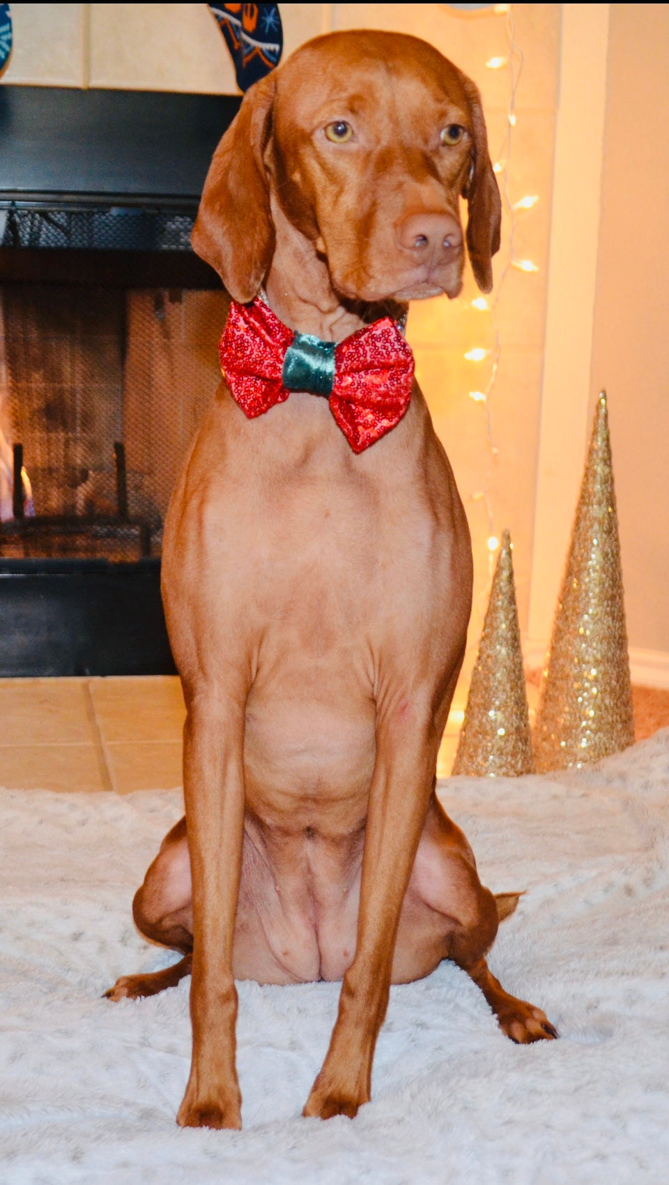 Red Sequin Green Velvet Bow Tie