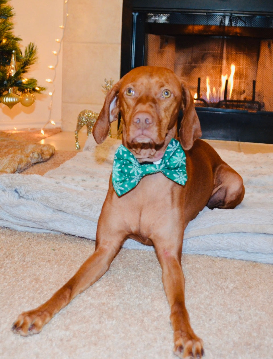 Green Snowflake Print Bow Tie