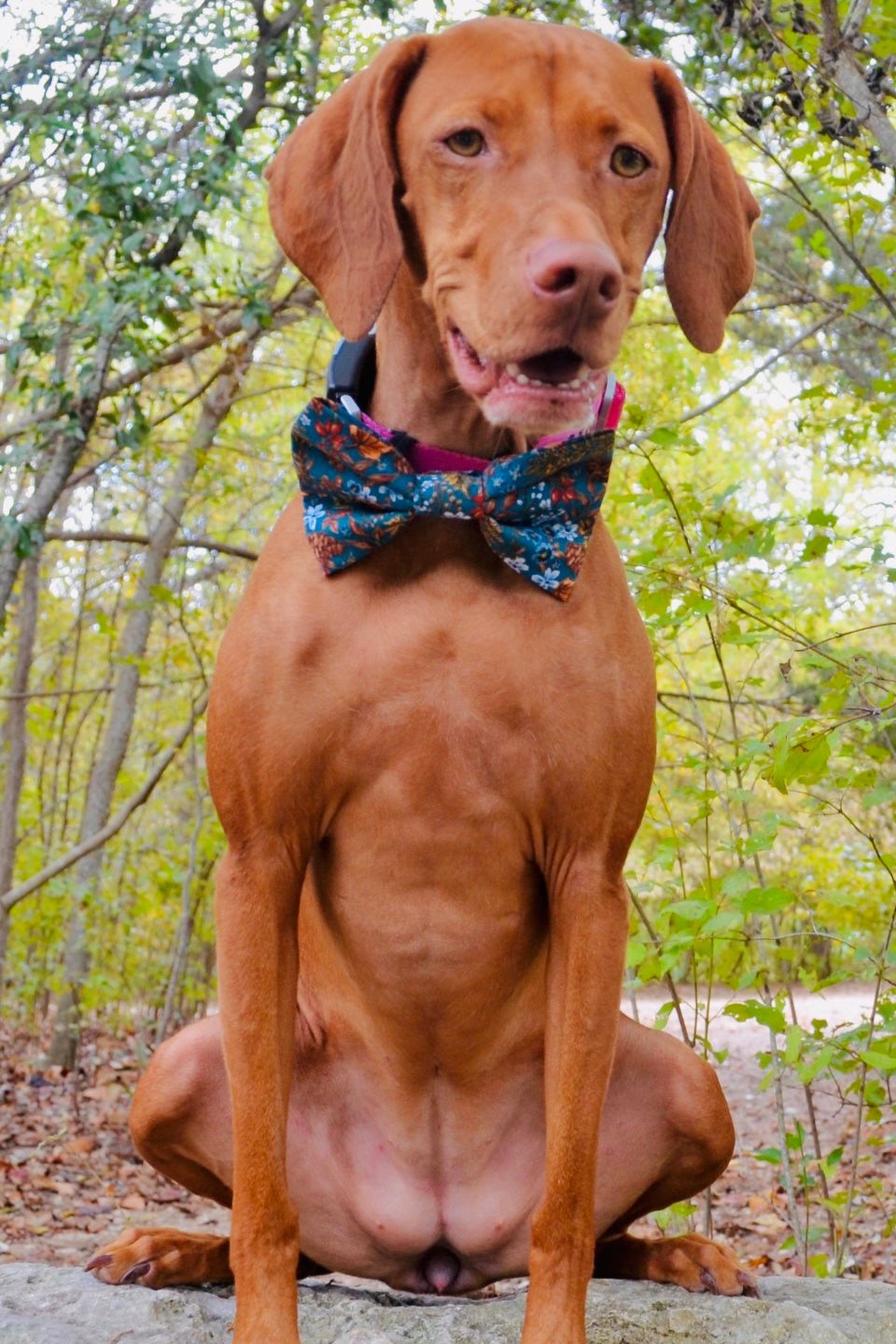 Dark Teal Floral Bow Tie