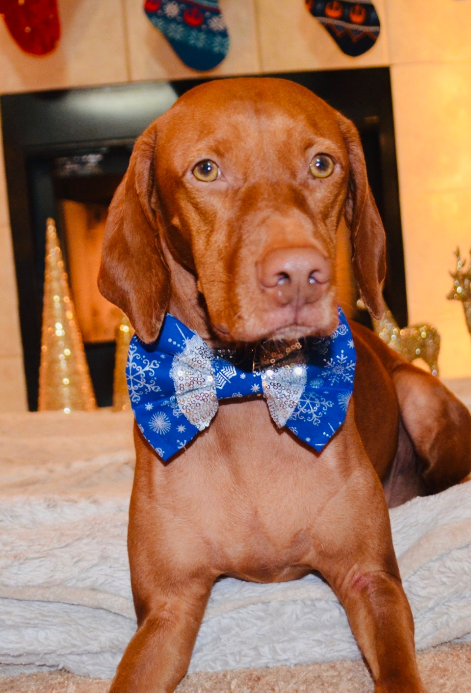 Blue Snowflake Silver Sequin Bow Tie