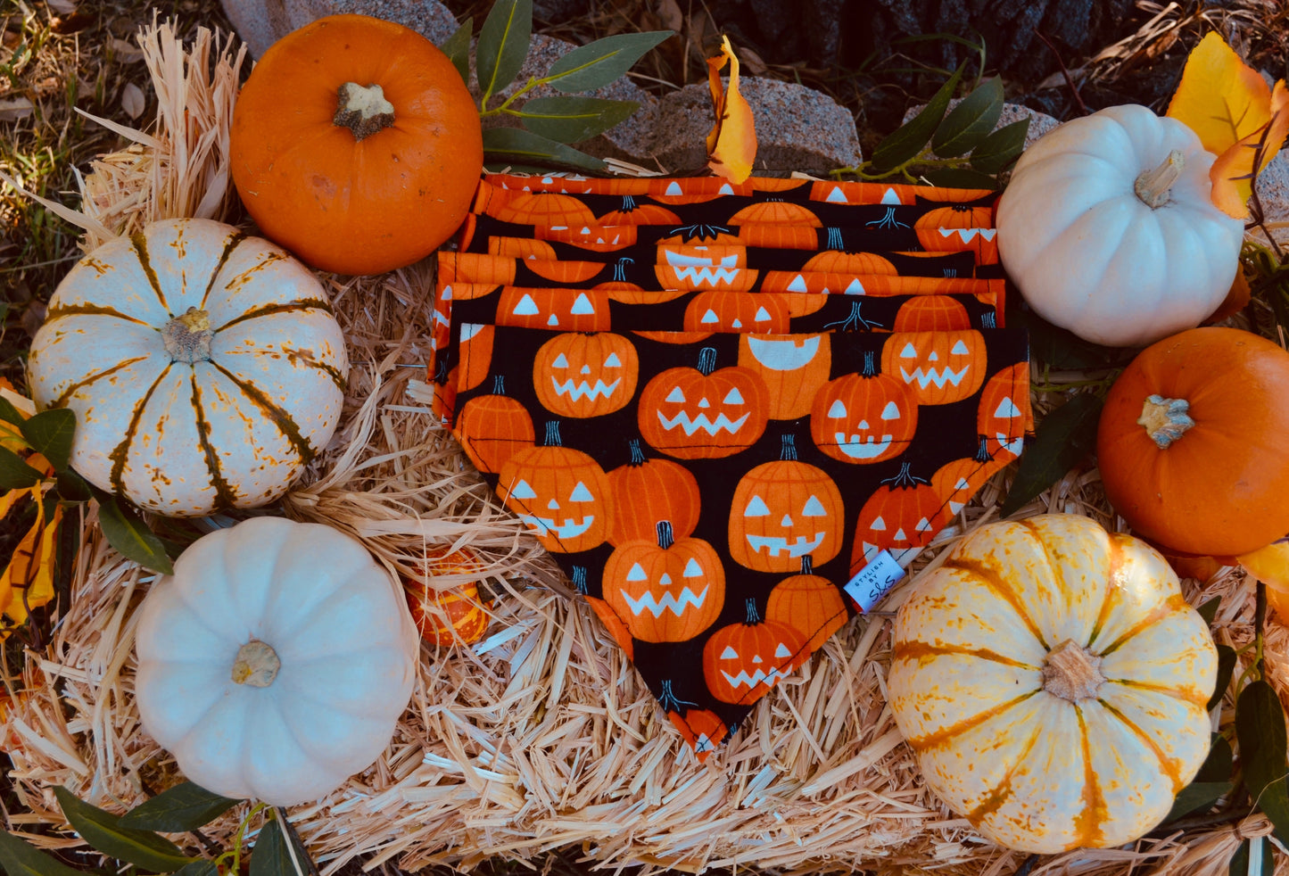 Glow In The Dark Pumpkins