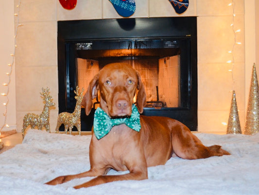 Green Snowflake Print Bow Tie