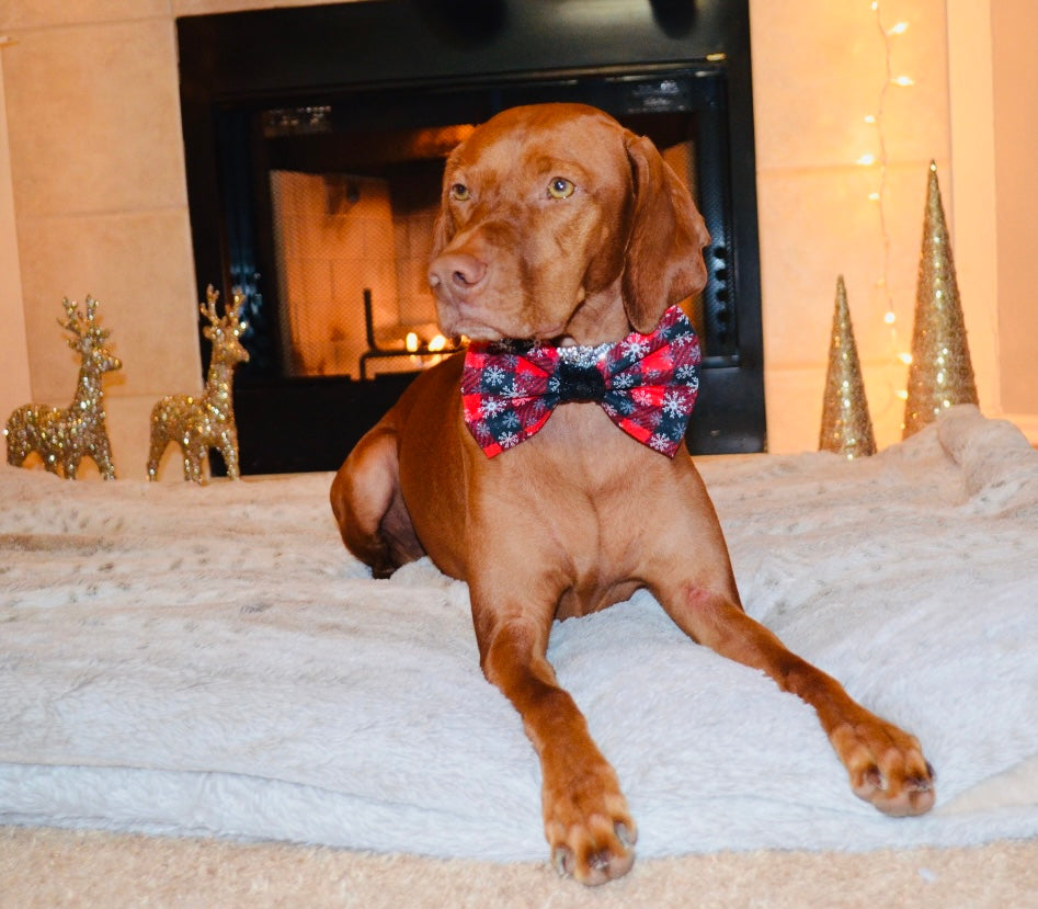 Red Black Plaid Snowflake Print Bow Tie