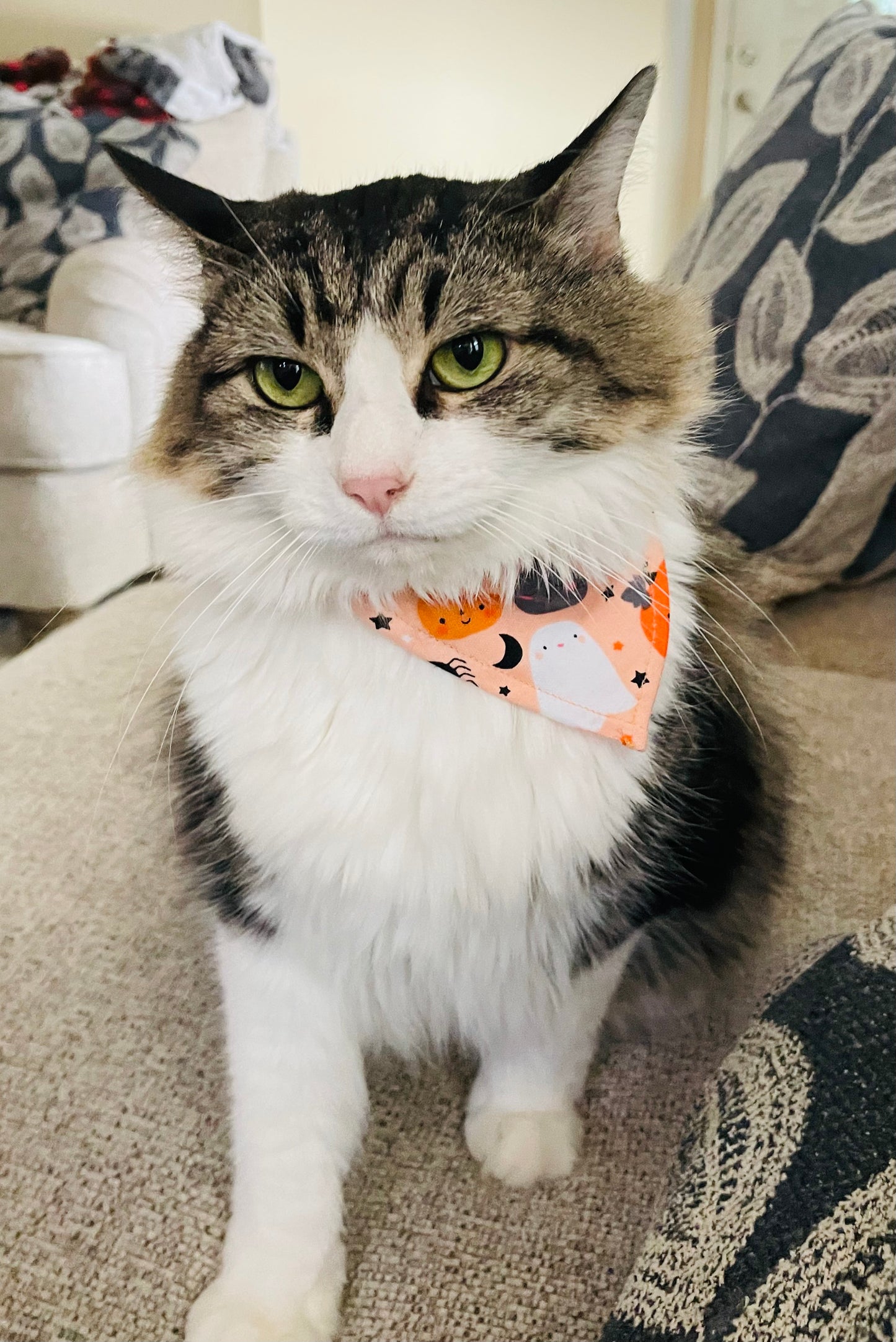 Peach Halloween Bandana