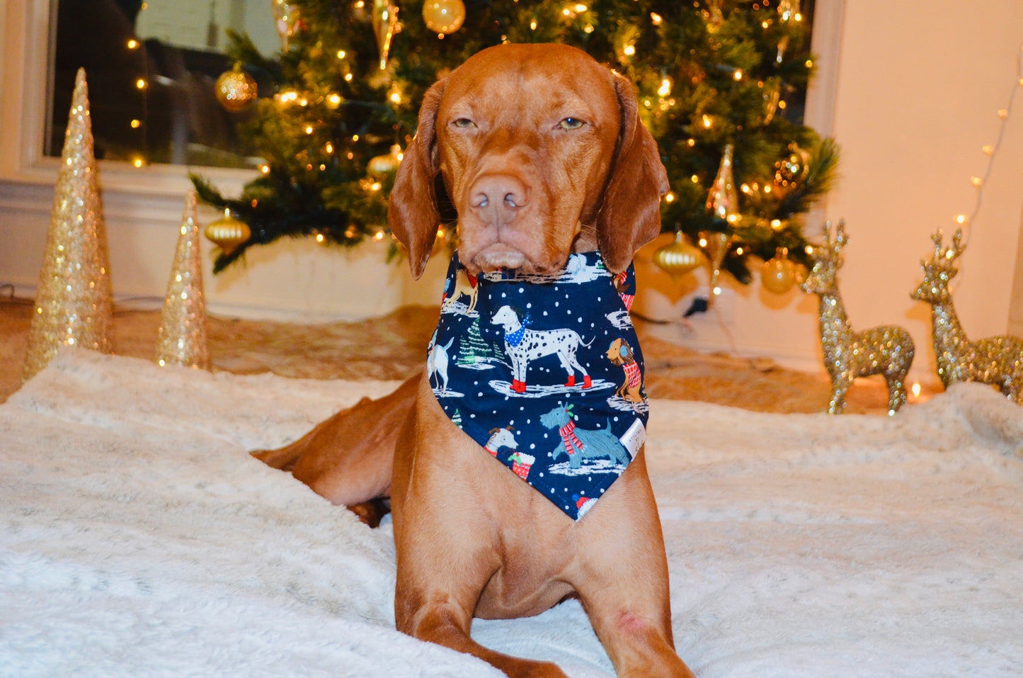 Dogs in Winter Wonderland Bandana