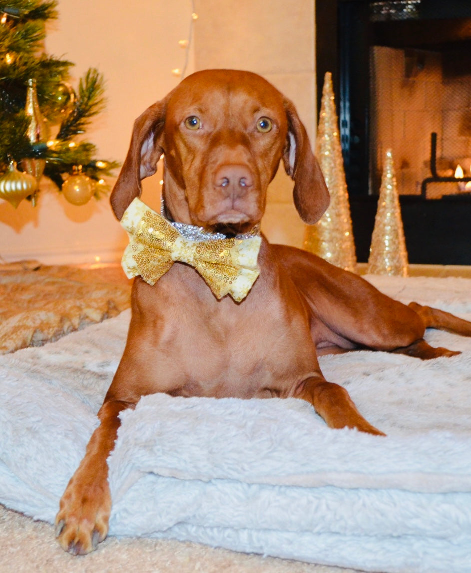 Gold Snowflake Sequin Double Bow Tie