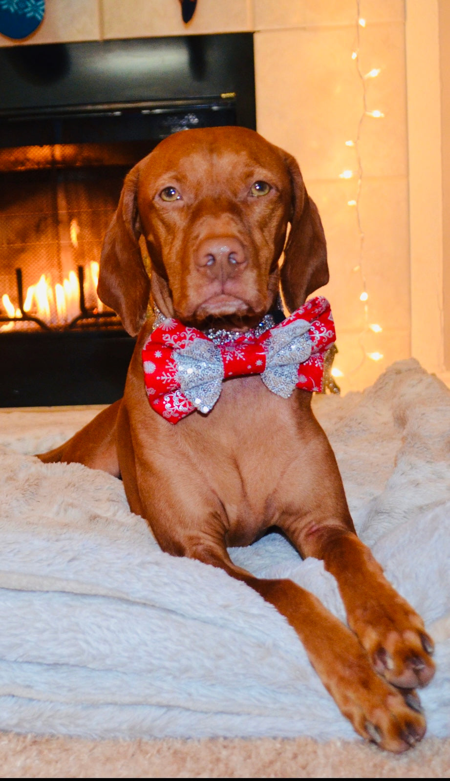 Red Silver Sequin Snowflake Double Bow Tie