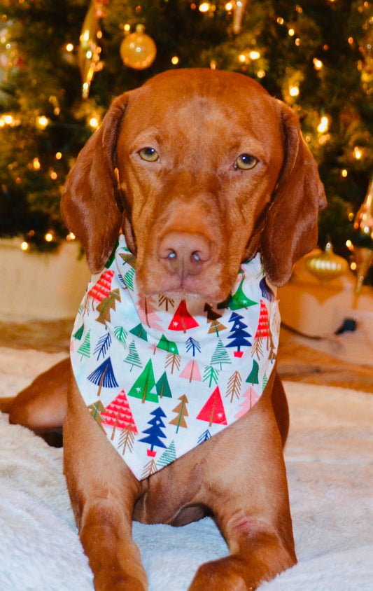 Multicolored Christmas Tree Print Bandana