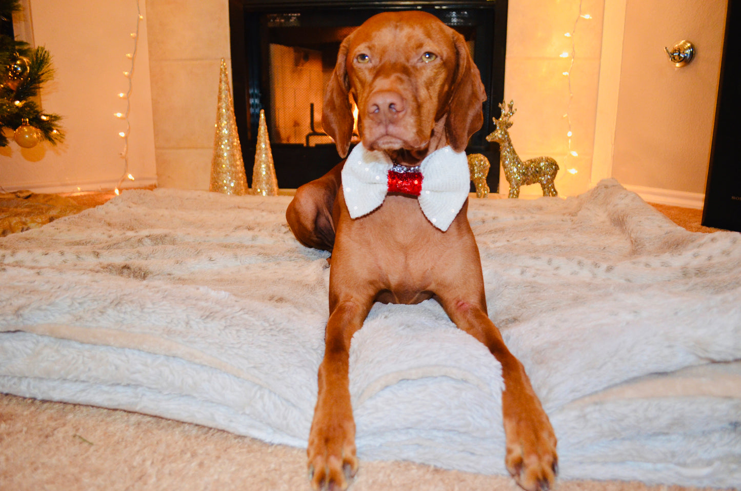 White Red Sequin Bow Tie