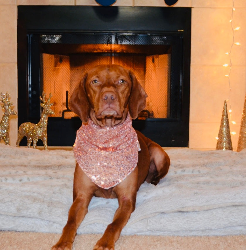 Rose Gold Sequin Bandana