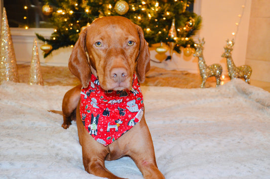 Red Glitter Dog Print Bandana