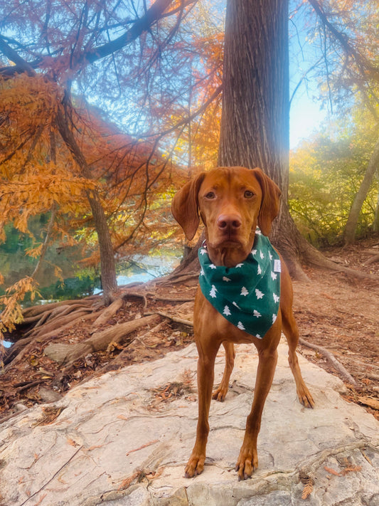 Green Flannel Christmas Tree Bandana