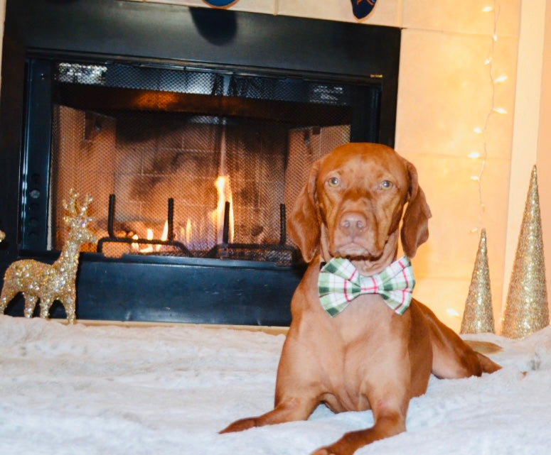 Green Plaid Bow Tie