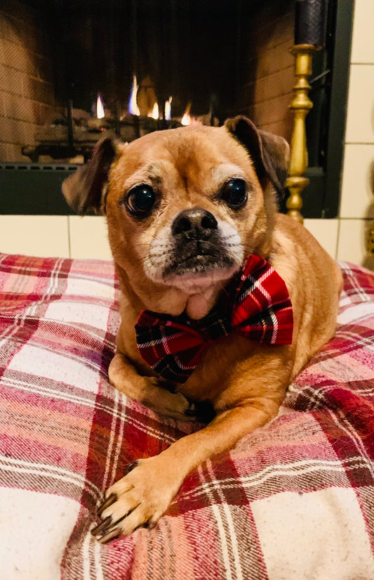 Red Plaid Bow Tie