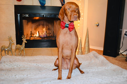 Red Sequin Green Velvet Bow Tie