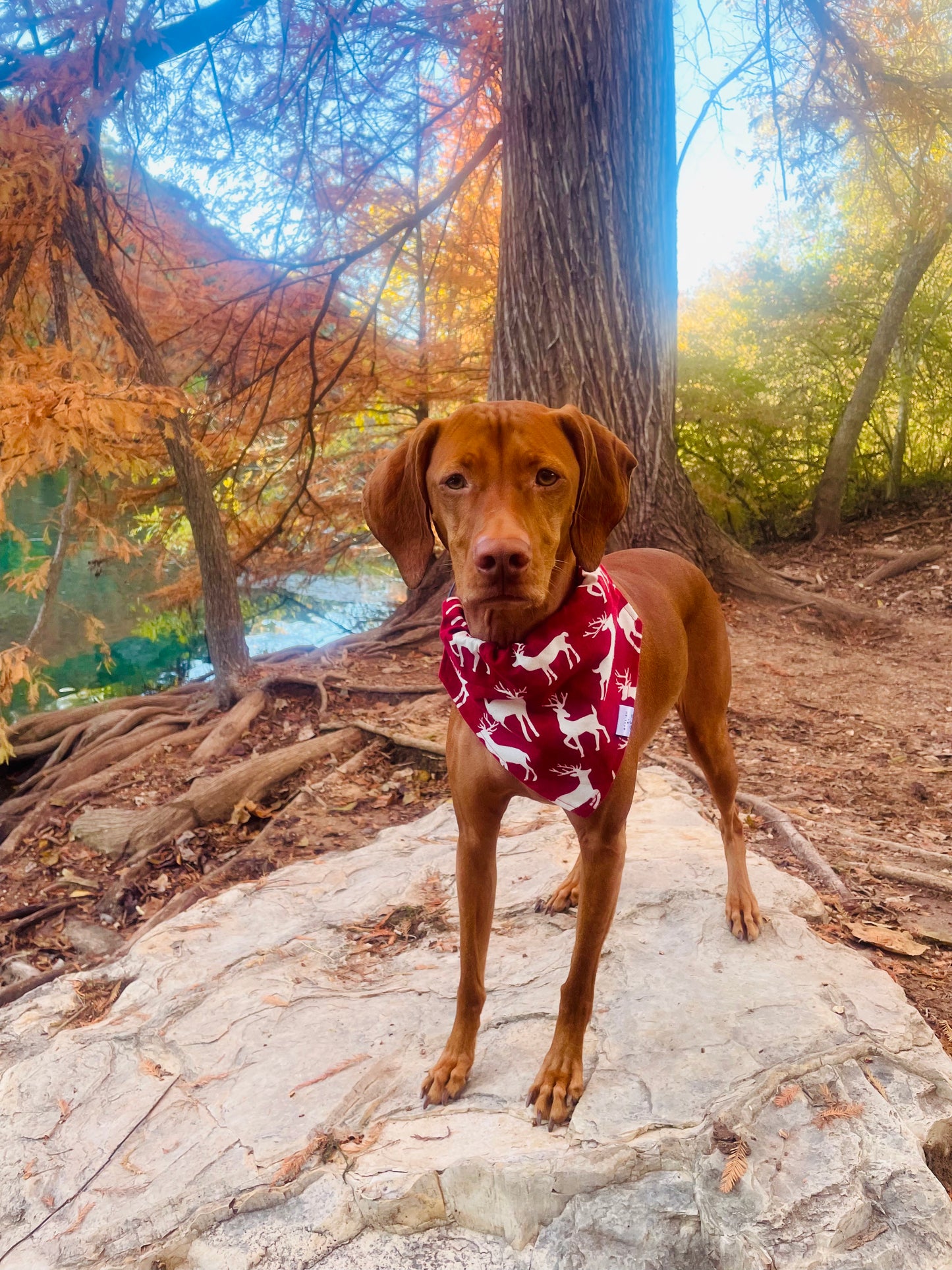 Reindeer Flannel Bandana