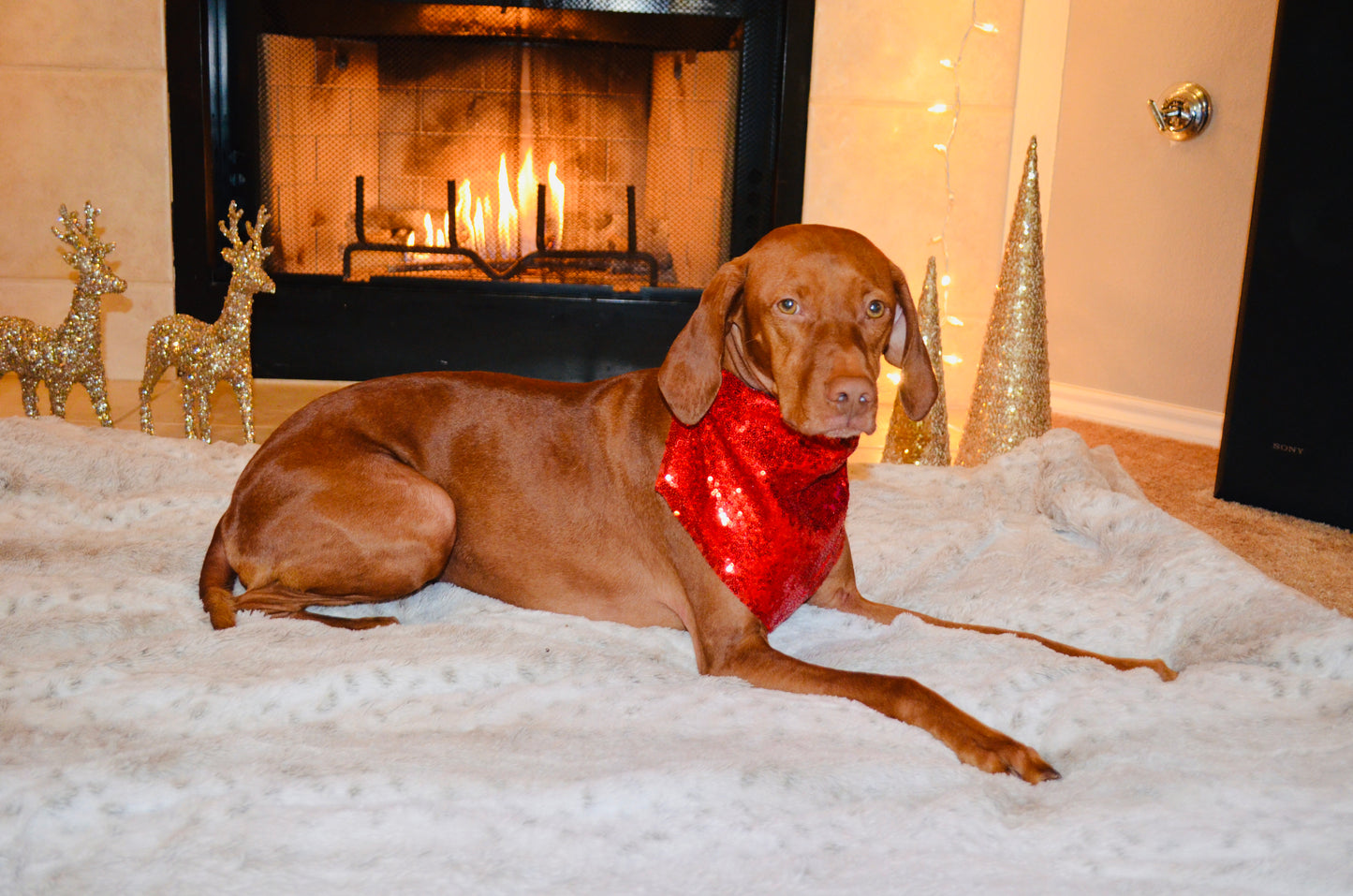 Red Sequin Bandana