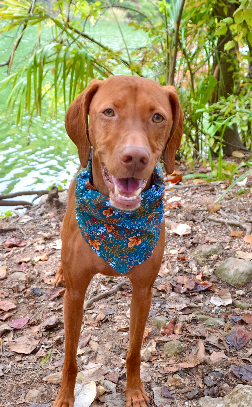 Dark Teal Floral Fall Bandana