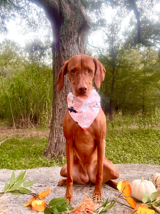 Pink Flannel Halloween Bandana