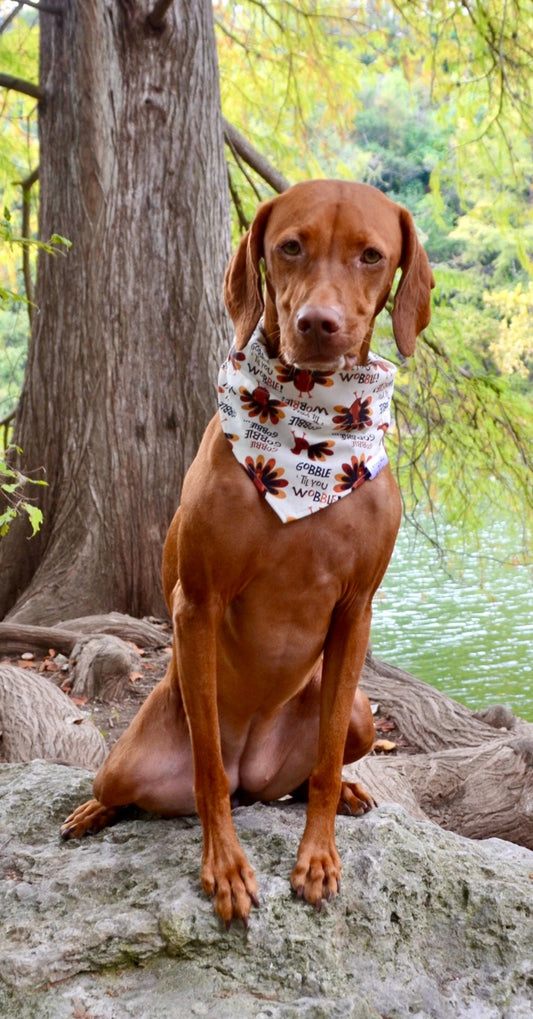 Gobble Gobble Bandana