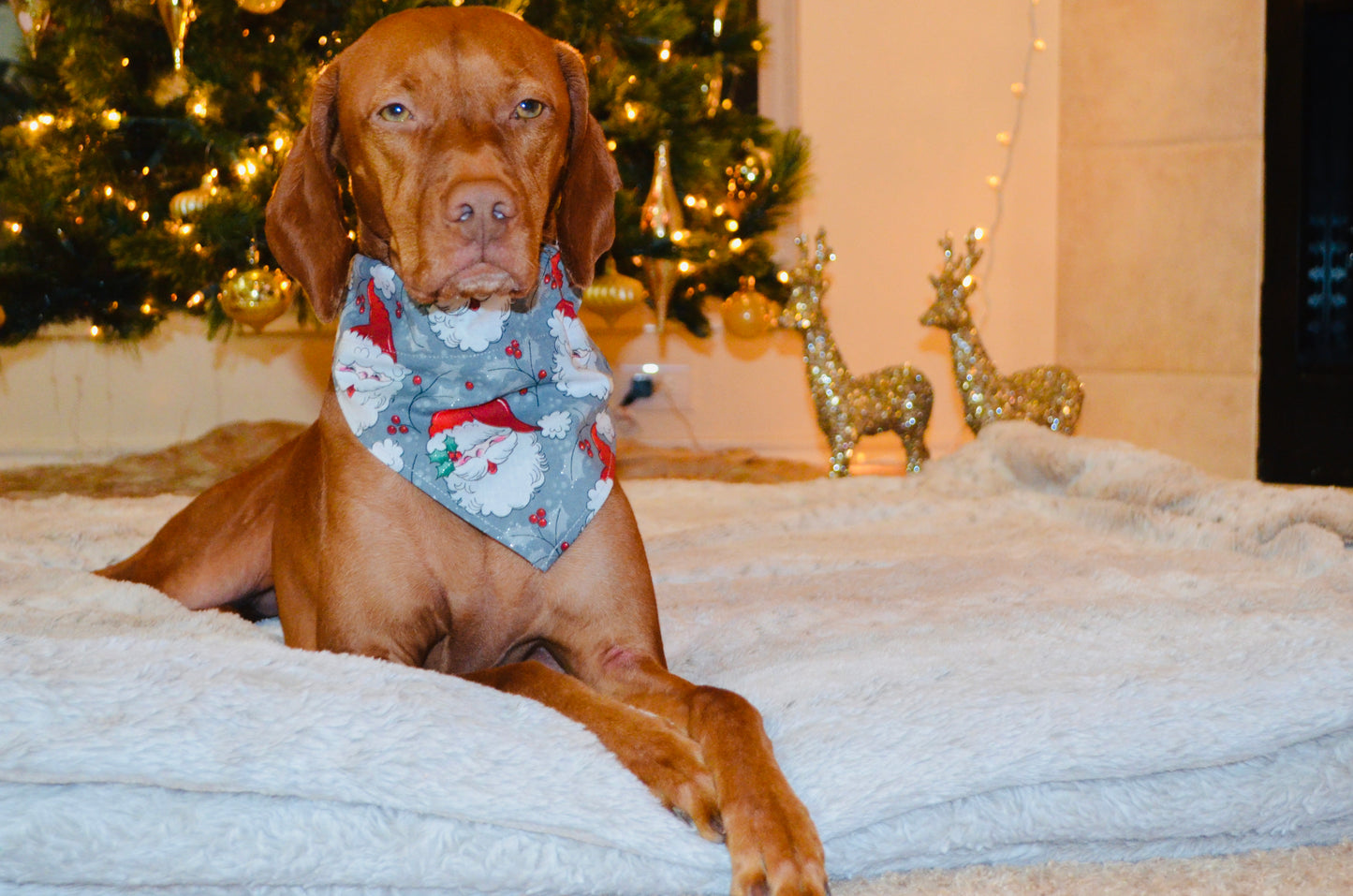 Classic Santa Print Bandana