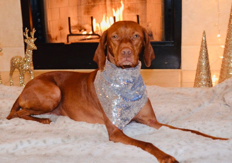 Silver Sequin Bandana