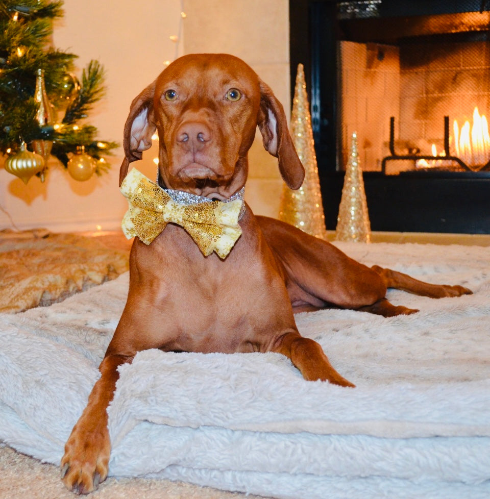 Gold Snowflake Sequin Double Bow Tie