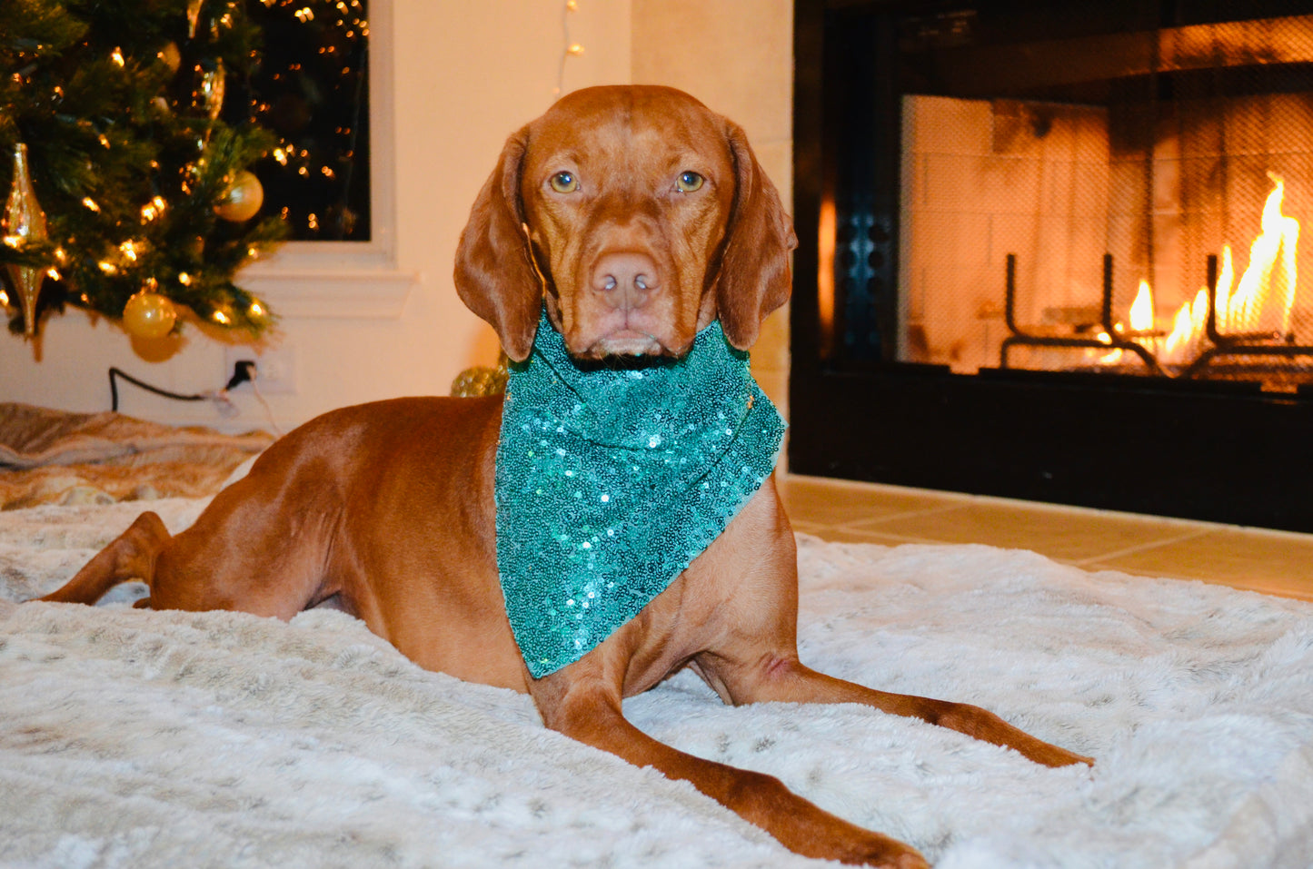 Green Sequin Bandana