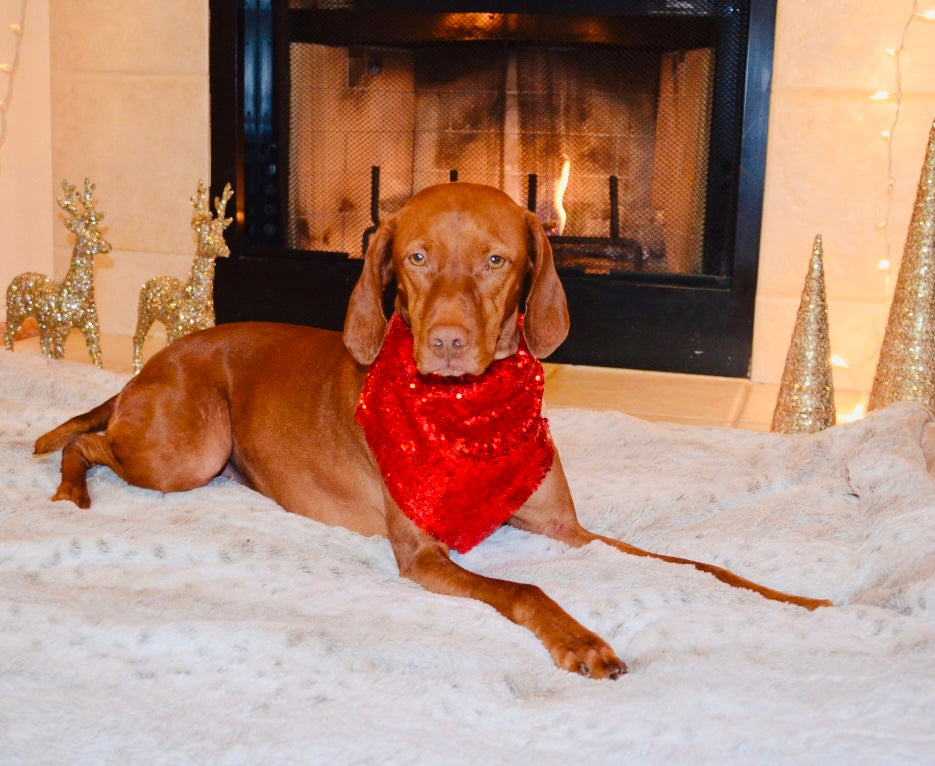 Red Sequin Bandana