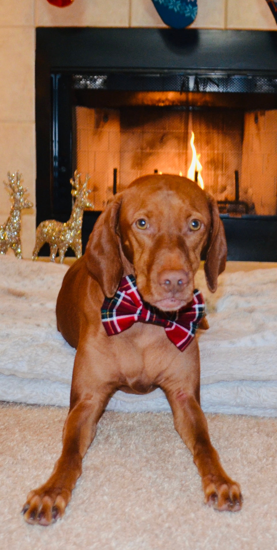 Red Plaid Bow Tie