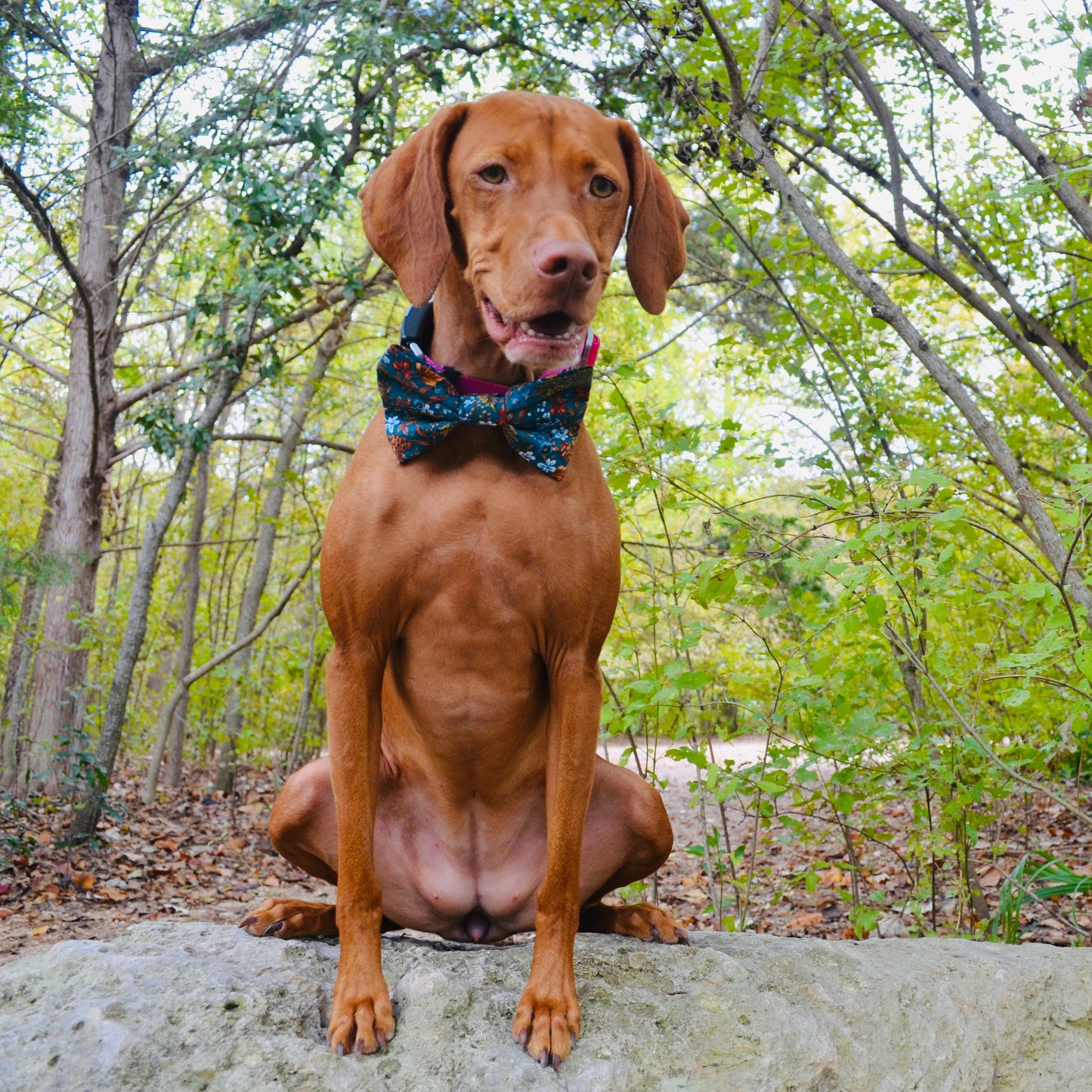 Dark Teal Floral Bow Tie