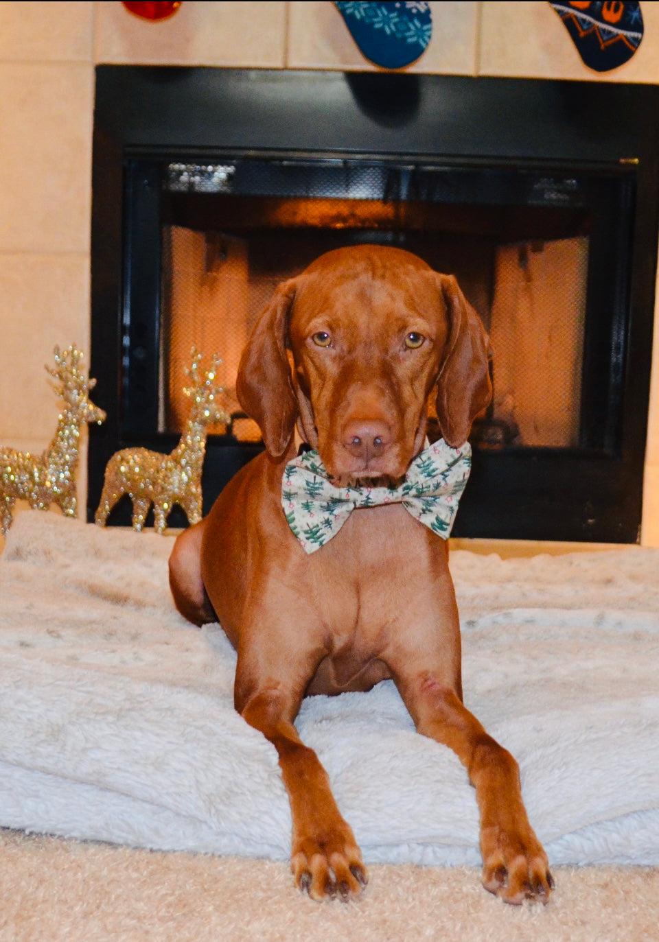 Christmas Tree Print Bow Tie